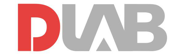 Logo DLAB